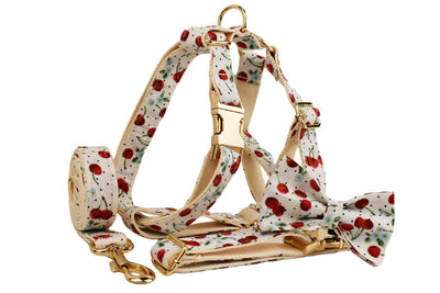 Collar para Mascotas con Estampado de Cerezas, Correa de Tracción y Hebilla Dorada Desprendible - Image 19