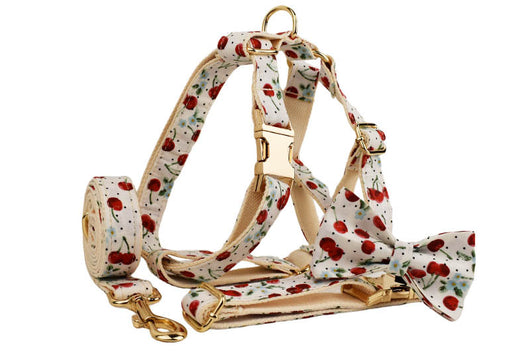Collar para Mascotas con Estampado de Cerezas, Correa de Tracción y Hebilla Dorada Desprendible - Image 19