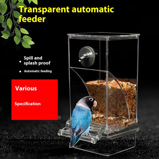 Comedero Automático para Aves con Depósito Transparente