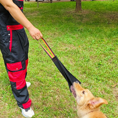 German Shepherd holding a black leather dog bite rag with a red, yellow, and black striped handle. - Image 10