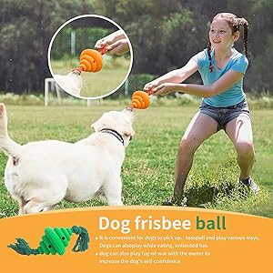 Juguete para Perros con Cuerda y Dispensador de Comida - Image 16