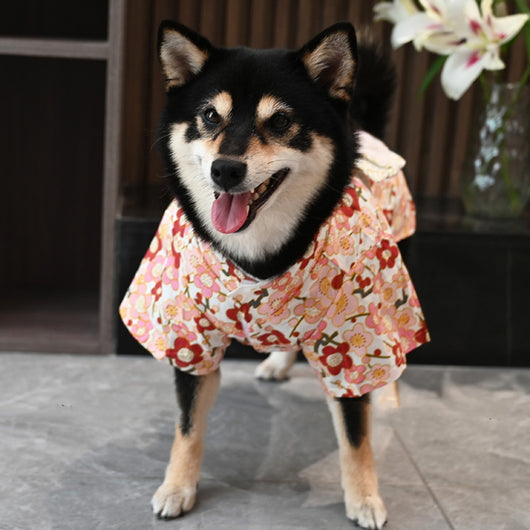 Ropa Estampada para Perros en Algodón Premium - Image 5