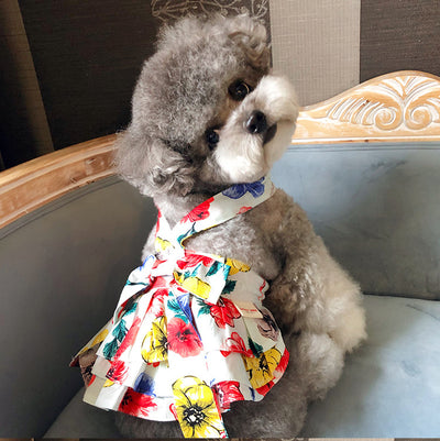 Ropa de Algodón 100% Estampada para Mascotas - Schnauzer, Pomerania y Gatos