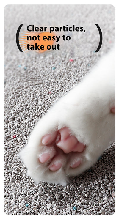 Arenilla para Gatos de Bentonita con Control de Olores y Bajo Polvo - Image 16