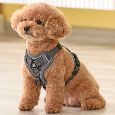 Arnés de Cuerda para Perros Estilo Chaleco - Image 13