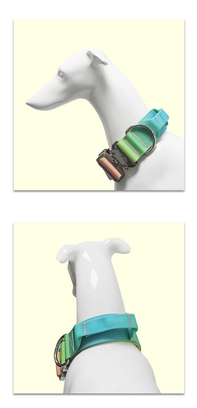 Collar Graduado Ancho para Mascotas - Comodidad sin Rozaduras - Image 12