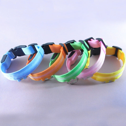 Collar LED de Seguridad para Perros - Image 15