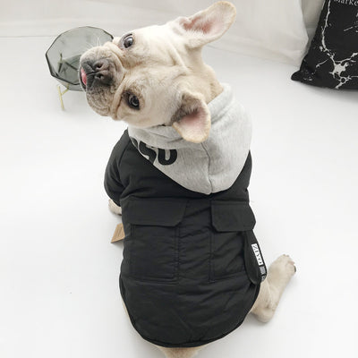 Ropa Térmica para Gatos y Perros Pequeños - Diseño Adorable de Dos Patas - Image 7
