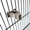 Comedero de Clip para Frutas en Acero Inoxidable para Aves