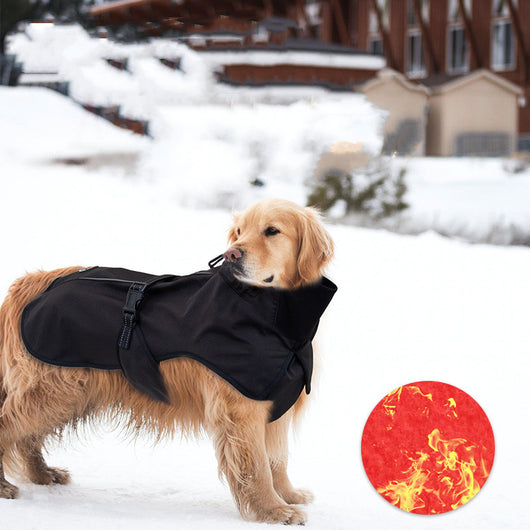 Abrigo Térmico para Perros - Camiseta Protectora Contra el Frío