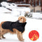 Abrigo Térmico para Perros - Camiseta Protectora Contra el Frío