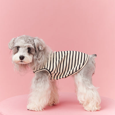 Chaleco sin Mangas Schnauzer Teddy Bichón a Rayas Cerezo - Image 4