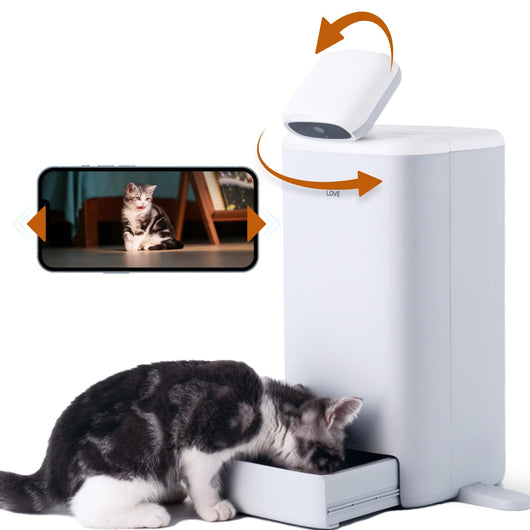 Comedero Automático para Gatos con Cámara 1080P, Control de Porciones y Visión Nocturna