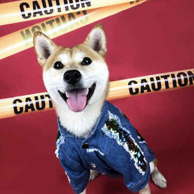 Chamarra de Mezclilla con Lentejuelas para Perros Pequeños, Medianos y Grandes - Image 13