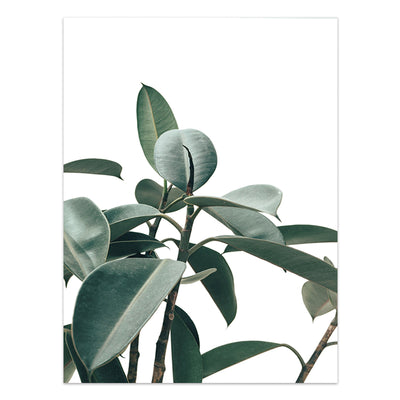 Póster de Plantas Tropicales Estilo Nórdico - Lámina de Hojas Verdes - Image 3