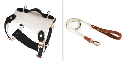 Arnés de Cuero para Mascotas con Cuerda Guía - Image 11