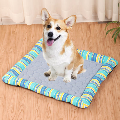 Transportín Portátil para Perros con Colchoneta - Ideal para Viajes en Auto - Image 2