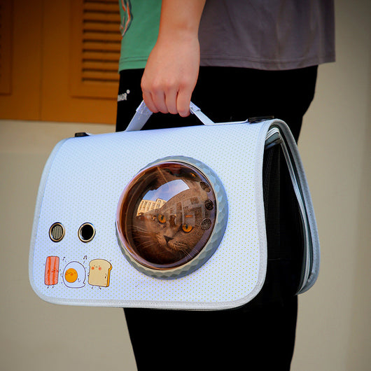 Bolsa Transportadora Transparente para Gatos - Portátil y Segura - Image 3