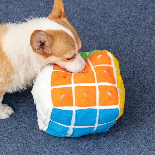 Cubo Olfativo Interactivo para Mascotas - Juguete Puzzle Escondedor de Premios - Image 8