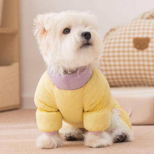 Abrigo Acolchado Premium para Mascotas - Chaqueta Térmica Diseño Osito con Cierre - Image 27