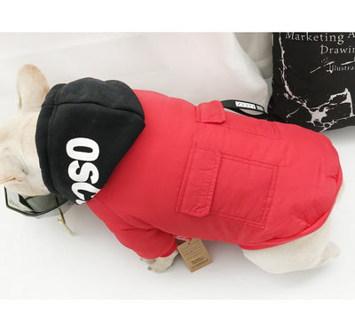 Ropa Térmica para Gatos y Perros Pequeños - Diseño Adorable de Dos Patas - Image 14