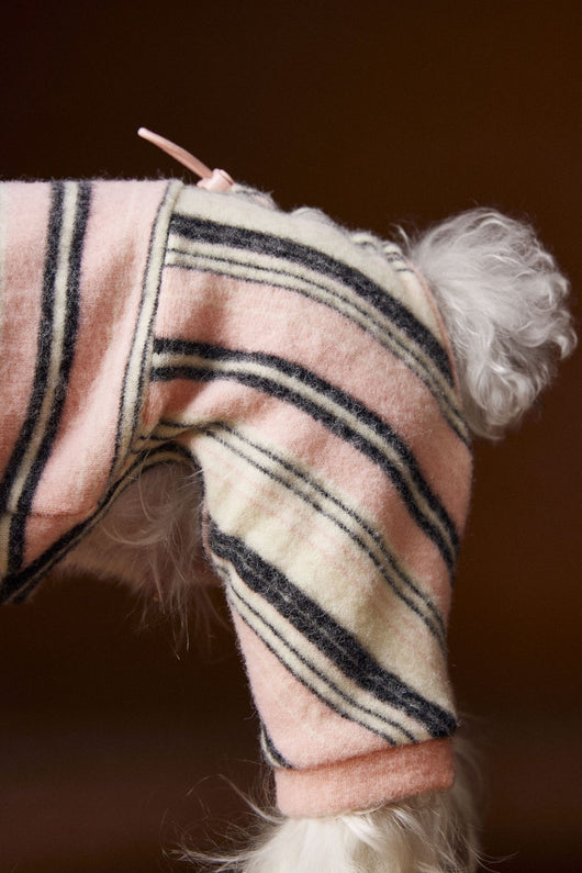 Suéter Térmico de Rayas para Perros Pequeños - Schnauzer, Bichón y Maltés - Image 9