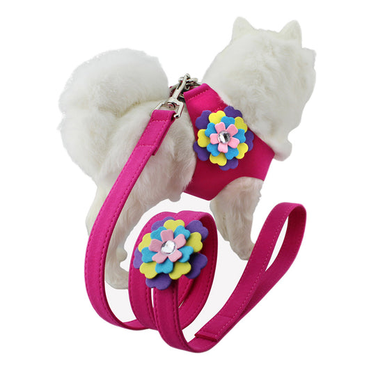 Arnés Pectoral para Mascotas con Patrón de Flores de Terciopelo y Cuerda de Tracción - Image 11