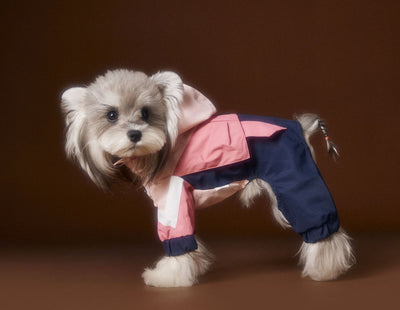 Ropa Deportiva para Perros Bichon Schnauzer con Arnés de Seguridad VIP - Image 10