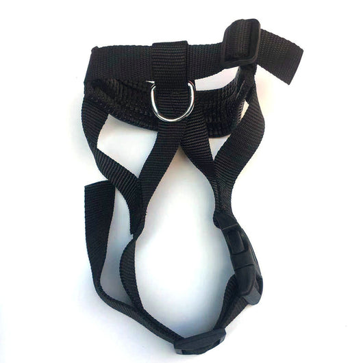 Bozal Nylon Ajustable Antiladridos Respirable con Bebedero - Image 9