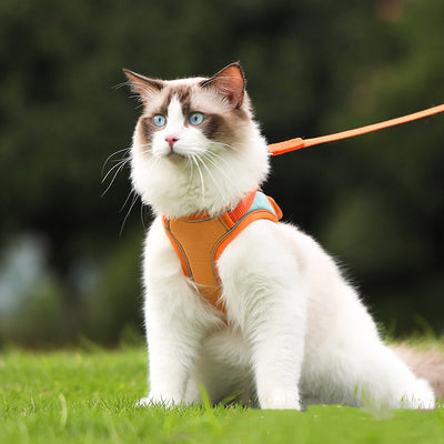 Arnés Reflectante Antiescapes para Gatos con Correa