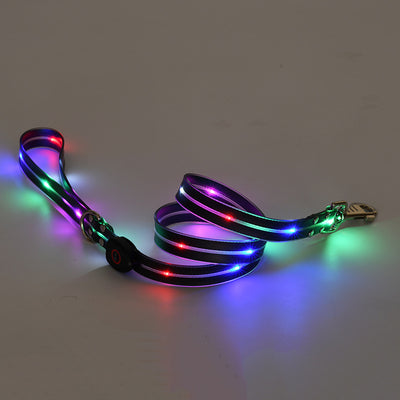 Collar LED Recargable para Mascotas con Correa de Seguridad - Image 8