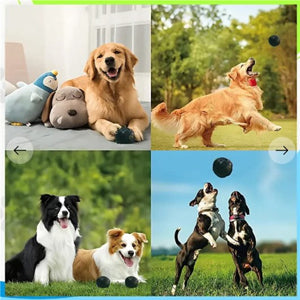 Pelota Interactiva Resistente para Perros - Juguete Puzzle Mordedor - Image 23