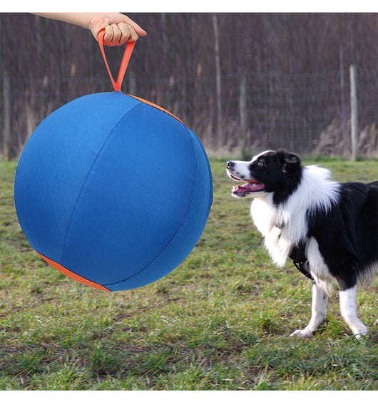 Blue and orange pet training ball with a fabric handle, designed for dogs like Shiba Inu and Corgi. - Image 12