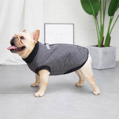 Chaleco Bucket de Algodón para Perros - Estilo Francés - Image 14