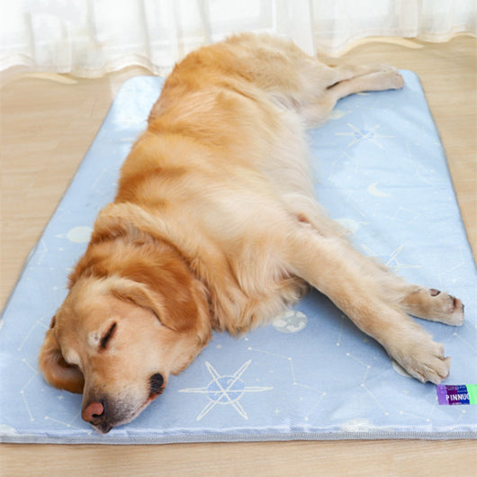 Colchoneta Refrescante Impermeable para Perros - Comodidad de Verano - Image 10