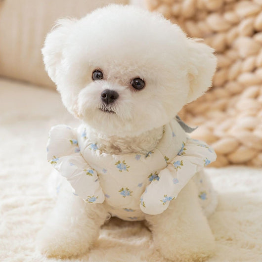 Vestido Abrigado para Perros Pequeños con Forro de Franela y Decoración de Moño - Image 19