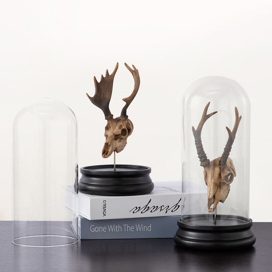Decoración de Fósil Óseo Minimalista - Pieza Personalizada Única - Image 2