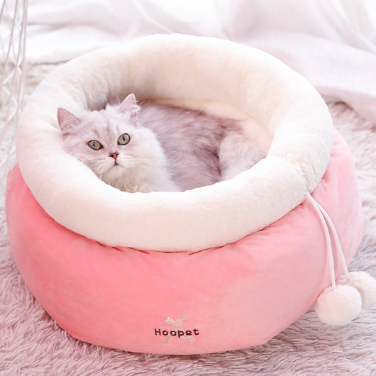 Arena para Gatos Invierno - Image 10