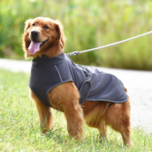 Abrigo Reflectante para Perros - Protección Térmica Otoño e Invierno - Image 2