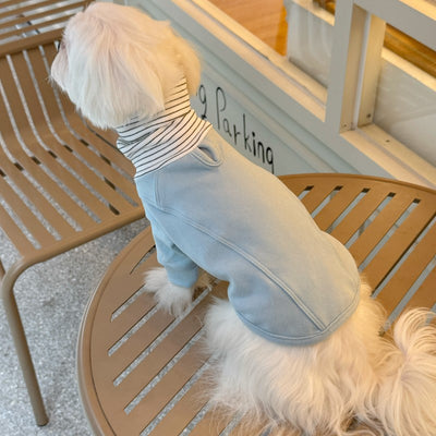 Playera de Bloques de Color para Mascotas - Ropa Cómoda para Perros - Image 10
