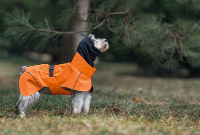 Poncho Impermeable Universal para Perros Pequeños y Medianos - Image 13
