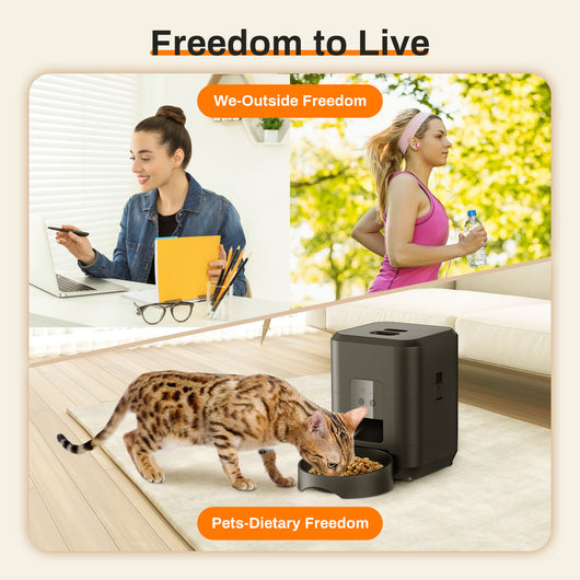 Comedero Automático Inteligente para Mascotas con Control Remoto y Dosificación Programada - Image 3