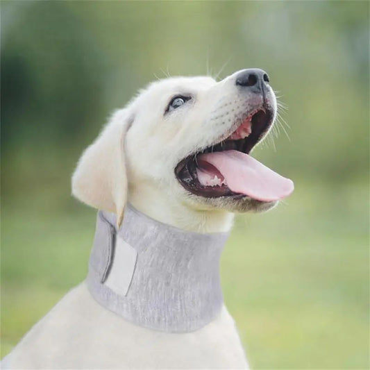 Collar Isabelino Ajustable para Perros y Gatos - Protección Post-Operatoria y Cicatrización