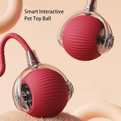 Pelota Inteligente Automática para Perros y Gatos - Juguete Interactivo 360° - Image 4