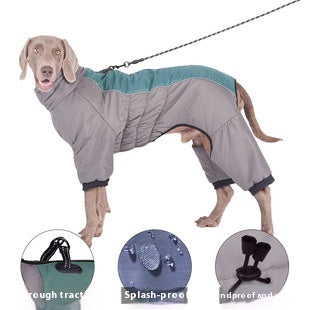 Collar de Cuero para Mascotas con Remaches - Tallas Mediana y Grande - Image 12