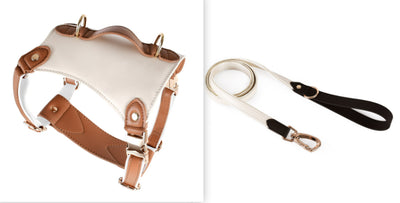 Arnés de Cuero para Mascotas con Cuerda Guía - Image 17