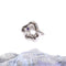 Sterling Plateado Ring Three-dimensional Morning Glory Crystal Diamond Female Ring Blanco Dorado Adjustable opening