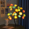 Rosas De Colores 24 Luces Sobre Negro USB