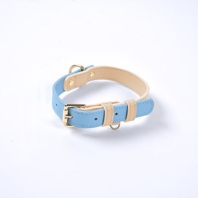 Juego de Collar y Correa para Perro en Cuero Premium - Image 36