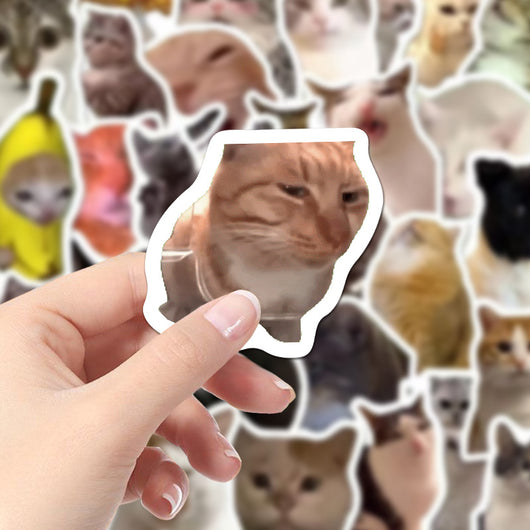 110 cute and funny cat stickers featuring various breeds and humorous poses, perfect for decorating laptops, water bottles, and journals.